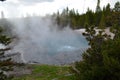 Spring in Yellowstone National Park: Steam Pours from the Bubbling Emerald Spring in the Back Basin Area of Norris Geyser Basin Royalty Free Stock Photo