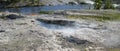 Spring in Yellowstone: Spiteful Geyser & Fan Geyser of the Morning Glory Group on the Bank of Firehole River in Upper Geyser Basin