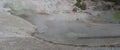 Spring in Yellowstone: Steam Rises From the Eastern Side of Green Dragon Spring in the Back Basin Area of Norris Geyser Basin