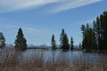 Spring in Yellowstone: Stevenson Island in Yellowstone Lake with Mounts Langford, Doane Royalty Free Stock Photo