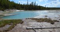 Spring in Yellowstone: Sunlight Glitters on Crackling Lake while Crackling Spring Steams in Norris Geyser Basin