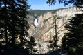 Spring in Yellowstone: Trees Frame the Grand Canyon of the Yellowstone River and the Lower Falls Viewed From Near Artist Point Royalty Free Stock Photo