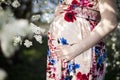 Young beautiful pregnant woman, blooming garden Royalty Free Stock Photo