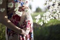 Young beautiful pregnant woman, blooming garden Royalty Free Stock Photo