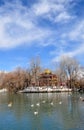 Spring Zong-jiao-lu-kang Park with Birds