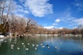 Spring Zong-jiao-lu-kang Park with Birds