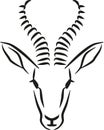 Springbok head Royalty Free Stock Photo