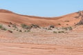 Springbok herd next to four wheel drive trail at Sossusvlei Royalty Free Stock Photo