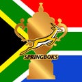 Springboks rugby team South Africa logo, world champions on the national flag