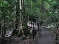 Springbrook National Park