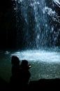 Springbrook National Park - Queensland Australia