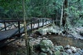 Springbrook National Park - Queensland Australia