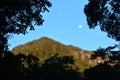 Springbrook National Park - Queensland Australia