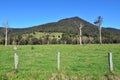 Springbrook National Park - Queensland Australia