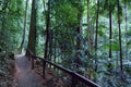 Springbrook National Park - Queensland Australia