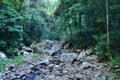 Springbrook National Park - Queensland Australia