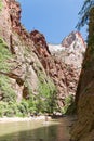 Excursions in the Zion Narrows National Park Royalty Free Stock Photo