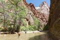 Excursions in the Zion Narrows National Park Royalty Free Stock Photo