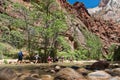 Excursions in the Zion Narrows National Park Royalty Free Stock Photo