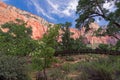 Excursions in the Zion Narrows National Park Royalty Free Stock Photo