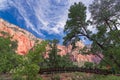 Excursions in the Zion Narrows National Park Royalty Free Stock Photo