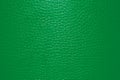 Spring green leather texture Royalty Free Stock Photo