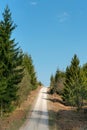 SpringLandscape with fork rural road in forest at early spring day.