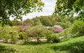 Springlike park landscape with blooming apple trees, Westpark Munich, view through chestnut branches