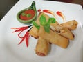Springroll Royalty Free Stock Photo