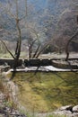 Springs of Kryas in Livadeia Boeotia
