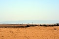 Sinai desert and the red sea at the place of Moses Springs, Water wells and palms in Sinai Peninsula, Ras Sidr, Egypt.