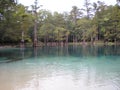 Springs water crystal clear florida panama city beach