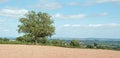 Springtime agricultural landscape in the British countryside.