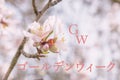 Springtime background for golden week celbration Royalty Free Stock Photo