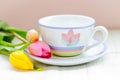 Springtime tea Royalty Free Stock Photo