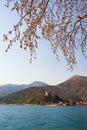 Springtime. Beautiful Mediterranean landscape on sunny day.  Montenegro,  Bay of Kotor,  view of Kamenari village Royalty Free Stock Photo