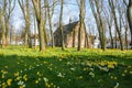 Springtime in Beguinage in Bruges Royalty Free Stock Photo