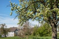 Springtime, Bergisches Land, Germany