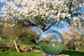 Springtime, Bergisches Land, Germany