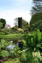 Springtime in Beth Chatto`s gardens