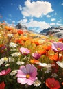 Springtime Bliss: A Virtual Journey Through a Wildflower Wonderl