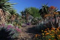 Springtime bloom in California at Taft Botanical Gardens, Ojai C