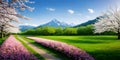 Springtime blooming flowers landscape by scenic green grass and beautiful sky