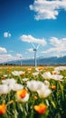 Springtime Blooms in Yellow and White Amid Windmills