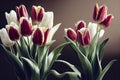 Springtime blossom tulips illustration with ravishing realistic detail.