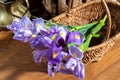 Springtime, bouquet of fresh spring purlpe iris flowers