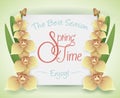 Springtime Card with Orchid's Branches, Vector Illustration