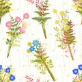 Springtime Colorful Flower with Wild Grass Background