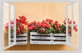 Springtime concept with flowers boxes hanging on the wall view f