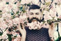 Springtime concept. Man with beard and mustache on happy face near branches with tender pink flowers. Bearded man with